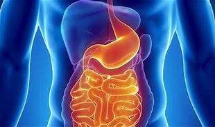 OIP جامعة الرافدين 2026 جامعة الرافدين مدير الموقع عمار محمود ابو الشعير